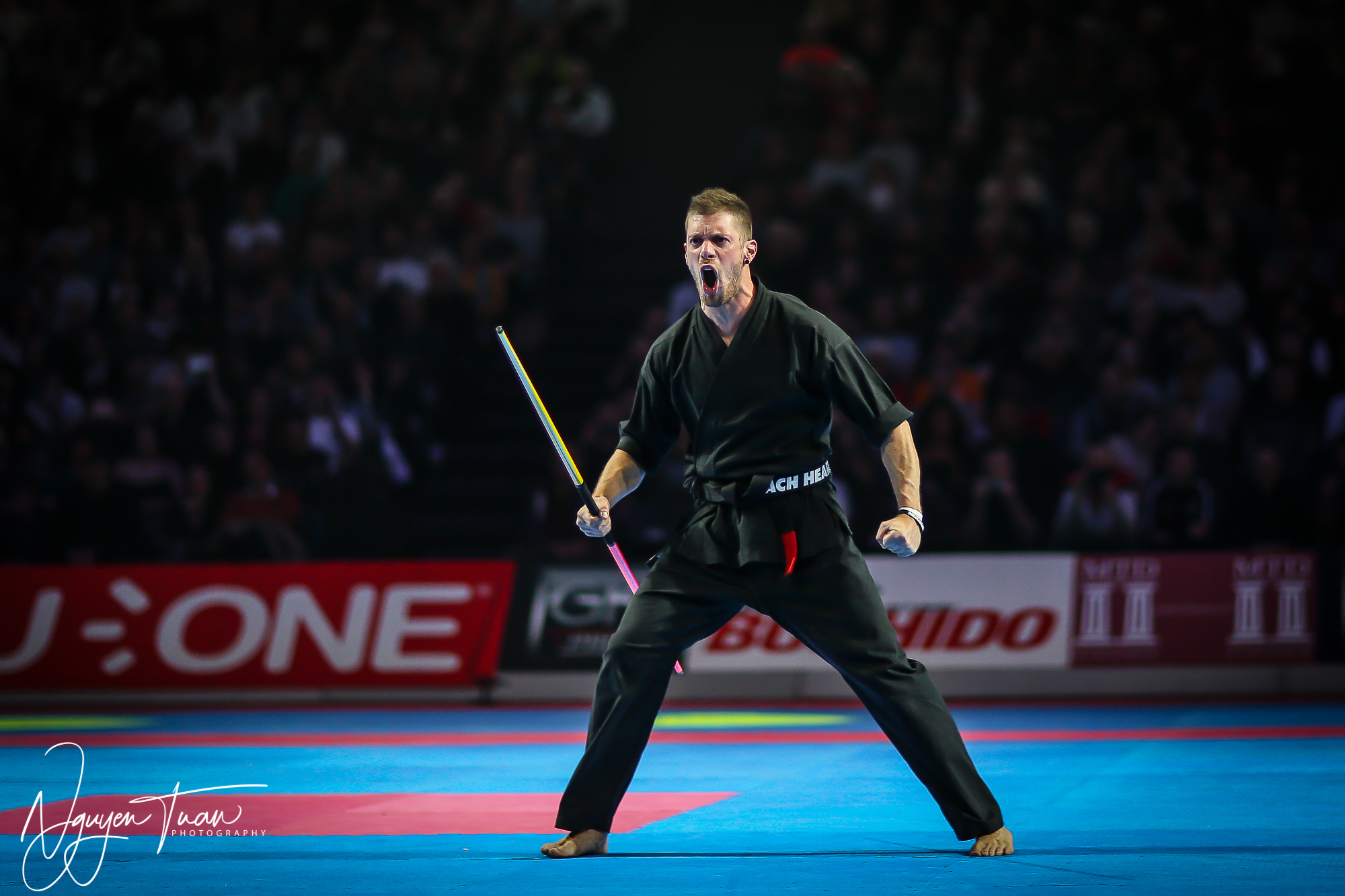 20190324 Festival des Arts Martiaux 4319